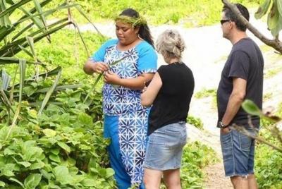 Los 10 mejores momentos de Tongatapu con almuerzo - Max 14 personas - Excursión en tierra