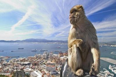 Escapada de día completo a Gibraltar desde Sevilla Escapada de día completo a Gibraltar desde Sevilla