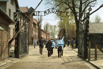 Excursión de medio día al Museo de Auschwitz-Birkenau desde Craco Excursión de medio día al Museo de Auschwitz-Birkenau desde Craco