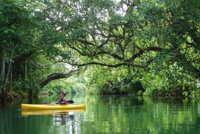 Excursión en kayak en grupos pequeños por el río Rentapao desde P Excursión en kayak en grupos pequeños por el río Rentapao desde P