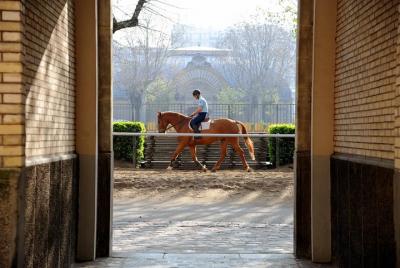 La Caballería de la Guardia Republicana - Quartier Célestins La Caballería de la Guardia Republicana - Quartier Célestins