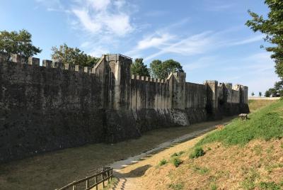Visita guiada de la Ciudad Alta de Provins de 15 € a 40 € máx / persona