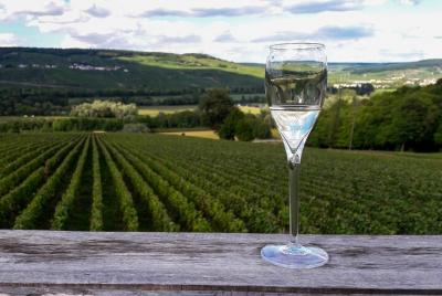 Excursión privada de un día a la región de Champaña con almuerzo