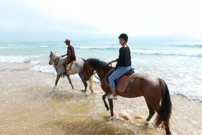 Paseo en camello y puesta de sol