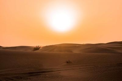 Sundowner Dune Safari con cena