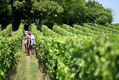 Excursión con cata de vinos para grupos pequeños a la región de Champagne desde París Excursión con cata de vinos para grupos pequeños a la región de Champagne desde París