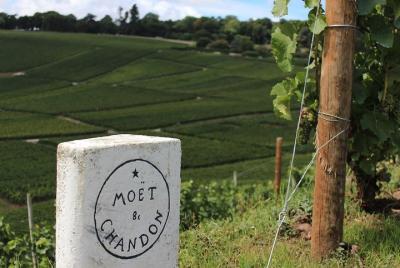 Paris SuperSaver: Champagne Wine Tour y Paris Segway Tour Paris SuperSaver: Champagne Wine Tour y Paris Segway Tour