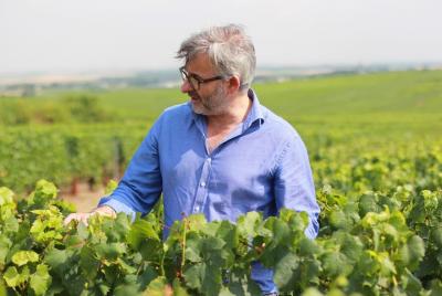 Desde París: excursión privada de un día con champán VIP guiada por el propietario de un viñedo local Desde París: excursión privada de un día con champán VIP guiada por el propietario de un viñedo local