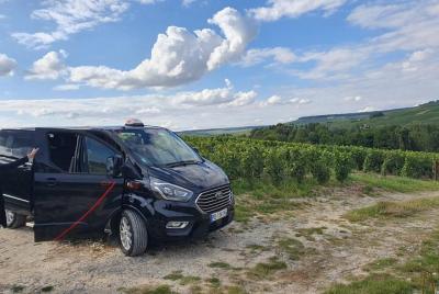 Excursión privada de un día desde París a Reims y la región de Champagne Excursión privada de un día desde París a Reims y la región de Champagne