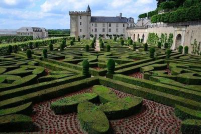 Castillos del Valle del Loira y Panda Zoo, tour privado de 2 días desde Paris Train & Minivan Castillos del Valle del Loira y Panda Zoo, tour privado de 2 días desde Paris Train & Minivan