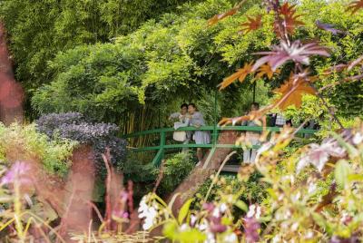 Evite las colas Excursión de medio día a Giverny y la casa de Monet desde París Evite las colas Excursión de medio día a Giverny y la casa de Monet desde París