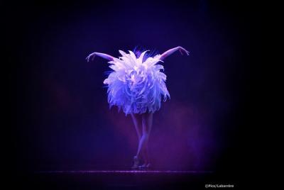 Visita guiada a la Torre Eiffel con crucero Illuminations y espectáculo Lido Burlesque Visita guiada a la Torre Eiffel con crucero Illuminations y espectáculo Lido Burlesque