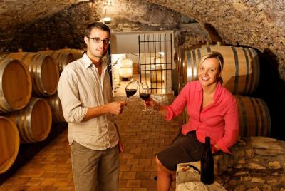 Tour de 2 días por el valle del Loira, incluido el boleto de tren desde París, alojamiento, comidas Tour de 2 días por el valle del Loira, incluido el boleto de tren desde París, alojamiento, comidas