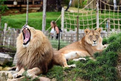 Zoo de Beauval - viaje privado