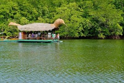 Tour en crucero por el río San Carlos desde Puerto Princesa
