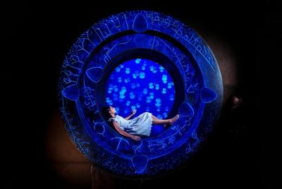 Entrada a Lost Chambers en Atlantis The Palm