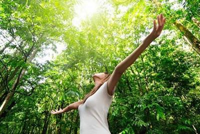 Burbuja de respiración Burbuja de respiración