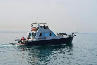 Paseo privado en barco de 30 minutos