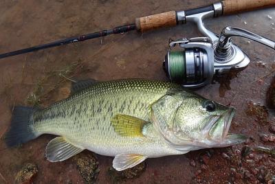 Excursión de pesca de día completo en Agadir.