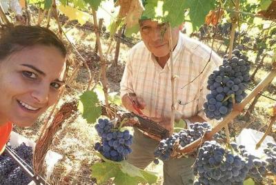 Tour de vinos premium para grupos pequeños desde Albufeira