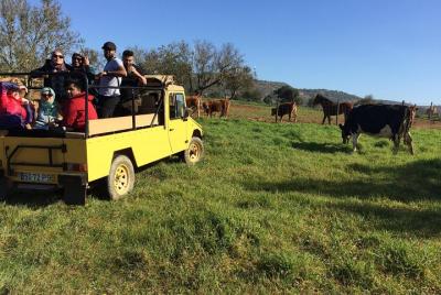 Algarve Jeep Safari - Excursión de medio día por la tarde