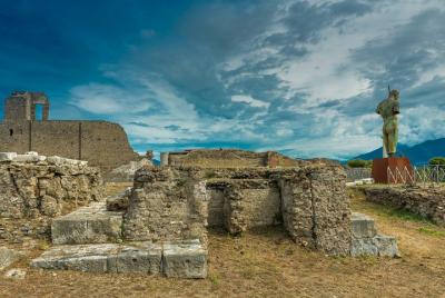 Servicio de autobús de ida y vuelta y excursión a Pompeya desde Roma