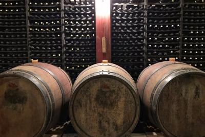 Comida gourmet y degustación de vinos en la bodega.