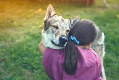 Baile con lobos, recorrido fotográfico