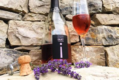 Expiración de cata de vinos en grupos pequeños, con almuerzo en v