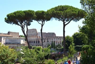 Roma: Coliseo en francés con acceso gratuito o guiado al Foro y al Palatino.