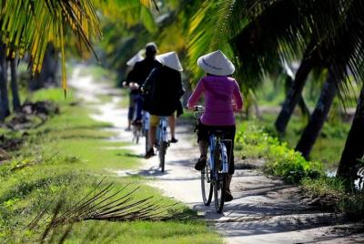 Recorrido en bicicleta por el campo, canasta y clase de cocina. Recorrido en bicicleta por el campo, canasta y clase de cocina.