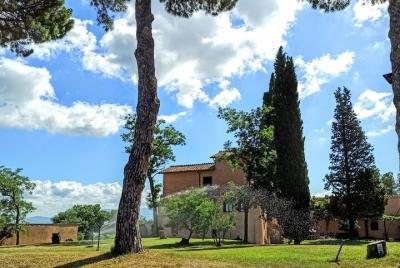 Tour de vinos, degustación, bocetos de pintura de acuarela en una hermosa bodega histórica