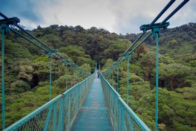 Recorrido con tirolina por las copas de los árboles y puentes colgantes en Monteverde Recorrido con tirolina por las copas de los árboles y puentes colgantes en Monteverde
