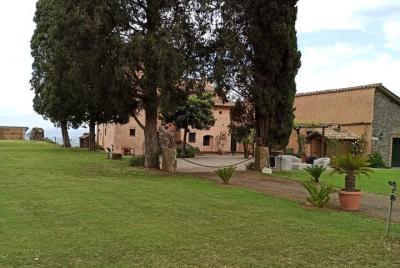 Visita a la bodega del área de Frascati y degustación en una hermosa finca histórica.