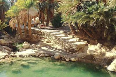 SAFARI OASIS: 2 DÍAS Salida Djerba y Zarzis
