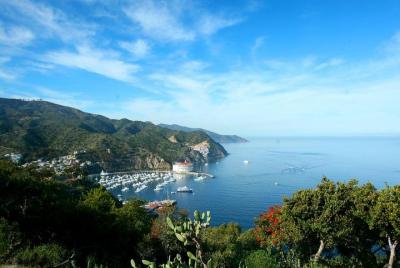 Escapada de un día a Isla Catalina desde Anaheim o Los Ángeles con mejoras opcionales Escapada de un día a Isla Catalina desde Anaheim o Los Ángeles con mejoras opcionales