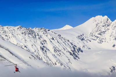 Tour de 30 minutos de vuelo desde Girdwood