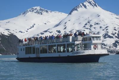 Crucero al glaciar Portage y excursión para explorar la fauna y flora