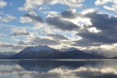 Turnagain Arm y Portage Valley Private Tour