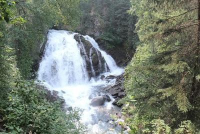 Paseo por la naturaleza de flora y fauna