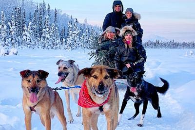 Aventura privada en trineo de perros en Alaska