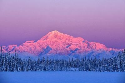 Tarde salvaje, vida salvaje, experiencia en glaciares desde Anchorage