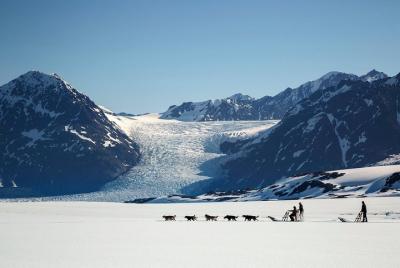 Tour en helicóptero en trineo de perros por el glaciar con el aterrizaje del glaciar inferior