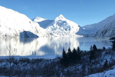 Invierno: recorrido por la vida salvaje y el brazo de Turnagain