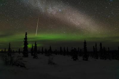 Northern Lights Tours y Lifetime Adventure desde Anchorage