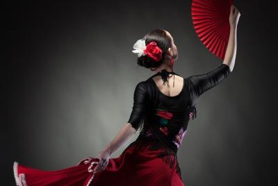 Excursión privada a pie, cena de tapas y espectáculo de flamenco