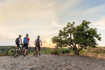Tour en bicicleta de montaña por los parques y la naturaleza de Praga