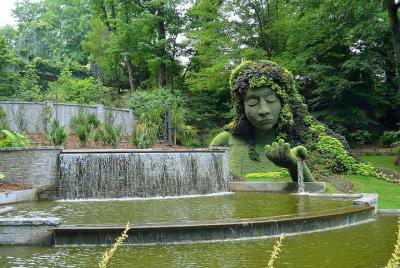 Una ciudad en un bosque. Excursión privada de Atlanta por la naturaleza. Una ciudad en un bosque. Excursión privada de Atlanta por la naturaleza.