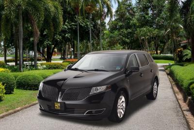 Transferencia privada de Baltimore: del aeropuerto al hotel o puerto de cruceros