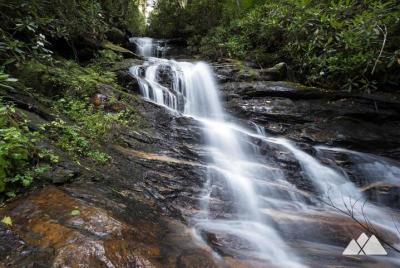 Caminata por Bartram Trail, además de una cata de vino Caminata por Bartram Trail, además de una cata de vino